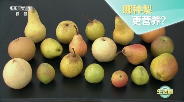 “一梨潤三秋”！秋天吃梨有啥講究？趕緊收藏