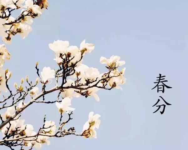 春分問候祝福短語，春分發(fā)朋友短句子