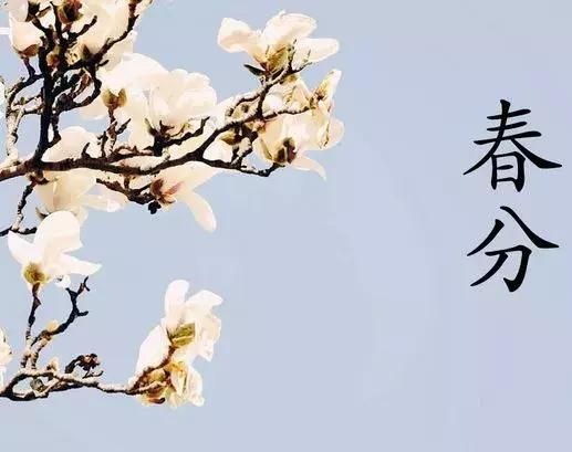 春分問候祝福短語，春分發(fā)朋友短句子