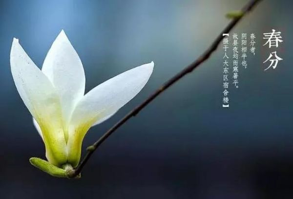 春分問候祝福短語，春分發(fā)朋友短句子