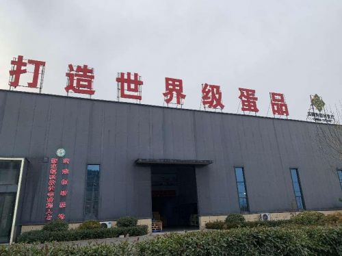 嘉寶果品牌攜獨(dú)特配方技術(shù)與山東蛋品基地強(qiáng)強(qiáng)聯(lián)手，打造健康美味新選擇！