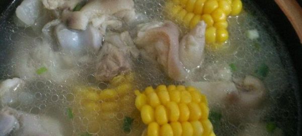 營養(yǎng)美味的玉米胡蘿卜豬蹄湯（健康食材搭配，一起煮出滋補湯品）