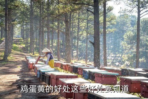  雞蛋黃的好處這些好處要知道