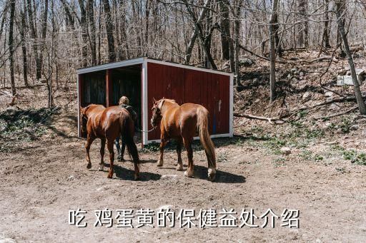 吃 雞蛋黃的保健益處介紹