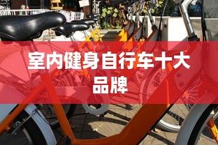 室內(nèi)健身自行車十大品牌