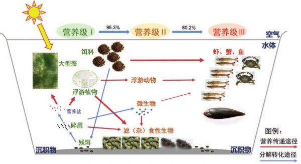 水產綠色健康養(yǎng)殖多營養(yǎng)層次綜合養(yǎng)殖技術模式