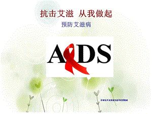 武漢版健康教育八年級(jí)《預(yù)防艾滋病》PPT課件 (10).ppt