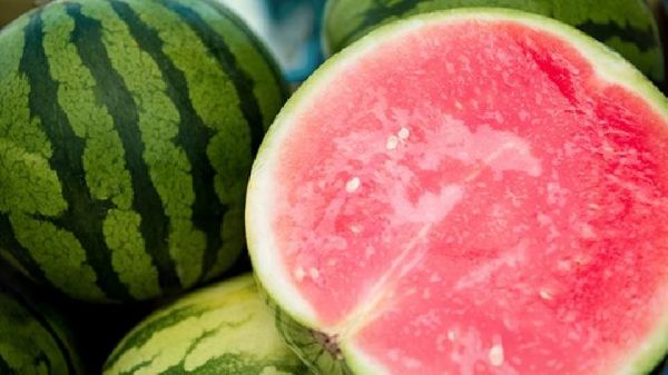 西瓜玉米粥——健脾潤腸補虛損