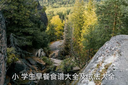 小 学生早餐食谱大全及做法大全