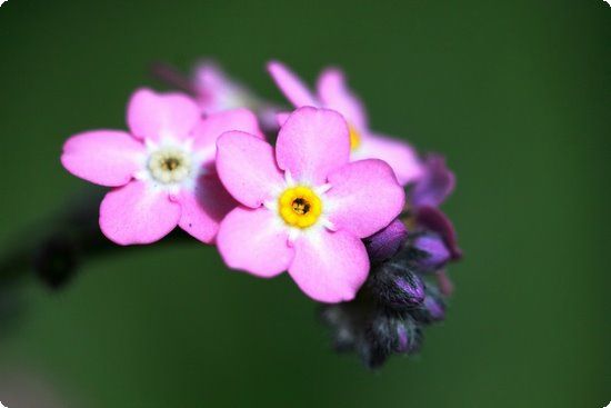 白領(lǐng)減肥操輕松伸展告別大象腿