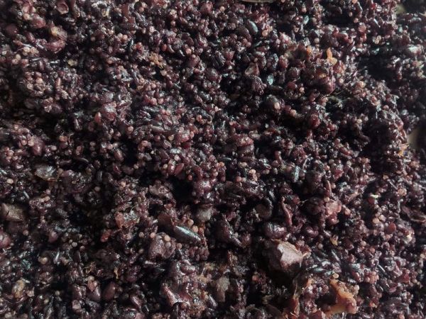 純奶手撕吐司的做法 步驟1