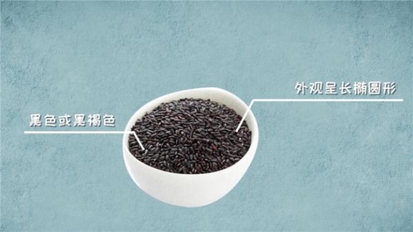黑米的功效與作用，常吃對(duì)身體有哪些好處