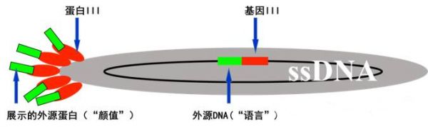 70771678168683193
