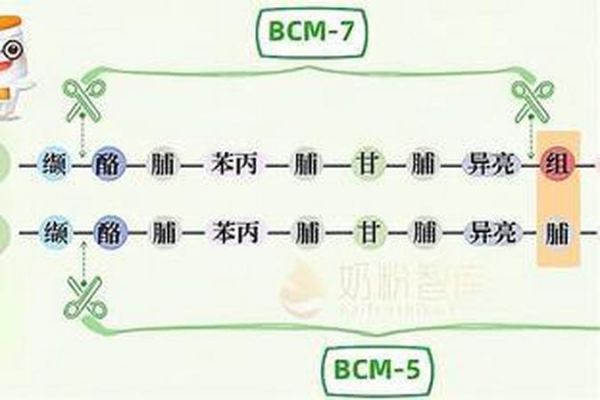 文章圖片