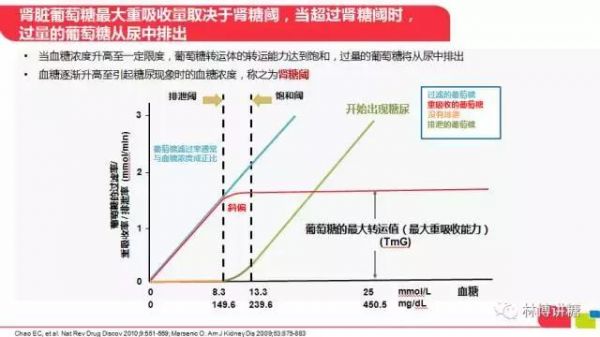 一種新型的降糖藥：鈉-葡萄糖共轉(zhuǎn)運蛋白2抑制劑