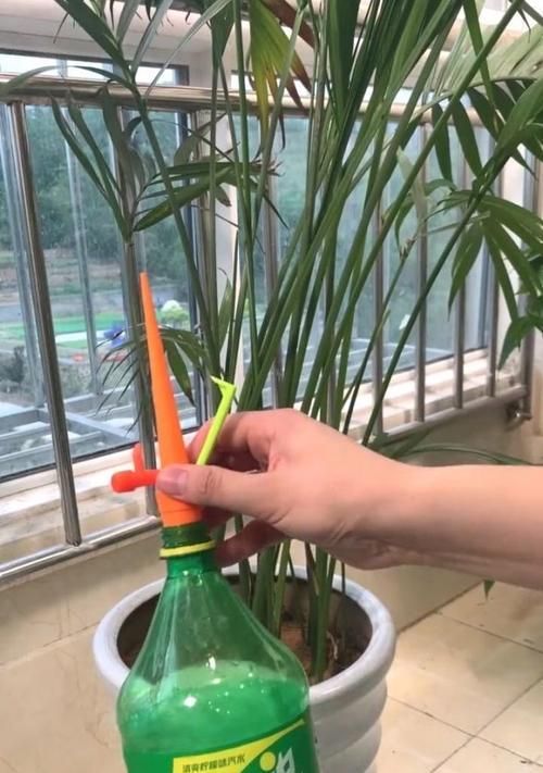 碳酸飲料（探究碳酸飲料對(duì)植物的影響）