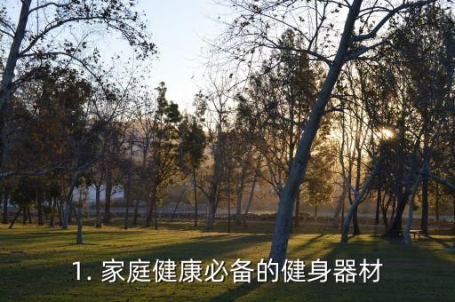 1. 家庭健康必备的健身器材