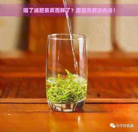 喝了減肥茶反而胖了？原因及解決辦法！