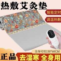 100 電加熱艾灸床墊艾灸墊全身熱敷墊腰部背部美容院專用墊腿部艾灸墊