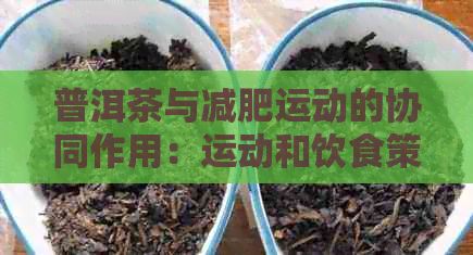 普洱茶與減肥運(yùn)動(dòng)的協(xié)同作用：運(yùn)動(dòng)和飲食策略指南