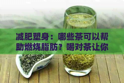 減肥塑身：哪些茶可以幫助燃燒脂肪？喝對茶讓你輕松瘦身！