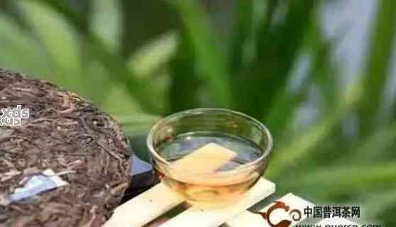 普洱茶配上有氧運(yùn)動(dòng)好嗎