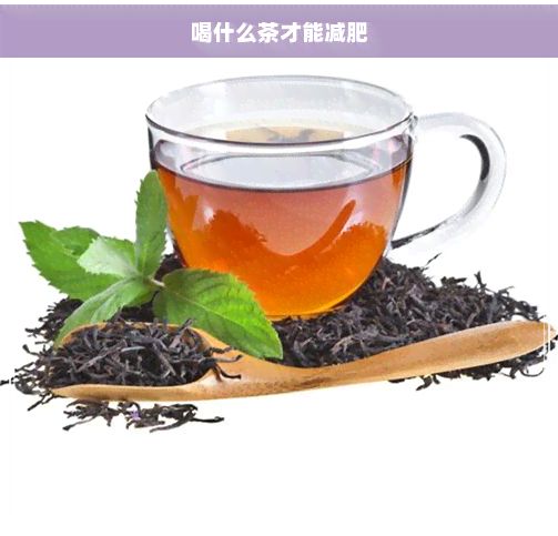 喝什么茶才能減肥