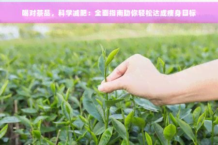 喝對茶品，科學(xué)減肥：全面指南助你輕松達(dá)成瘦身目標(biāo)