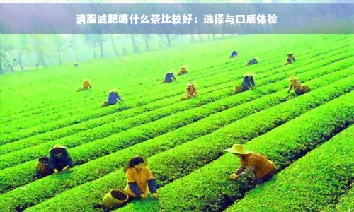 消脂减肥喝什么茶比较好:选择与口感体验