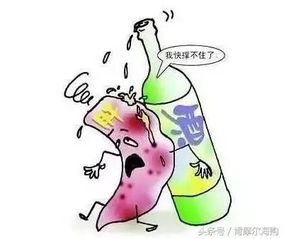 肝好了，其他臟器才會好！