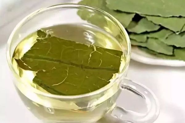 荷葉茶的功效與作用，長期喝荷葉茶的好處