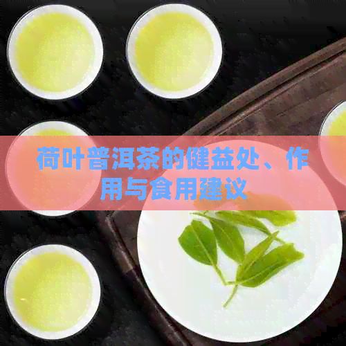 荷葉普洱茶的健益處、作用與食用建議