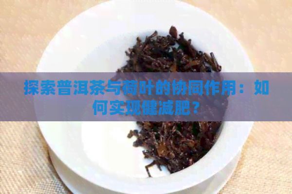 探索普洱茶與荷葉的協(xié)同作用：如何實現健減肥？