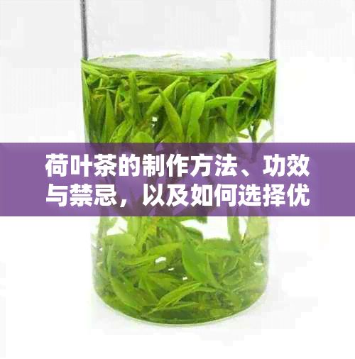 荷葉茶的制作方法、功效與禁忌，以及如何選擇優(yōu)質(zhì)的荷葉