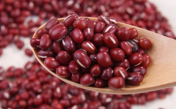 红豆的热量是多少？红豆的热量高吗？(2)