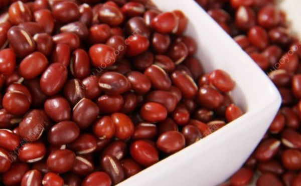 红豆的热量是多少？红豆的热量高吗？(4)