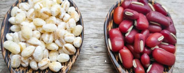 晚上吃紅豆薏米會胖嗎 紅豆熱量高嗎