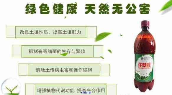 碧生源常潤茶：長期飲用是否影響健？含哪些成分？有無副作用？能有效減肥嗎？