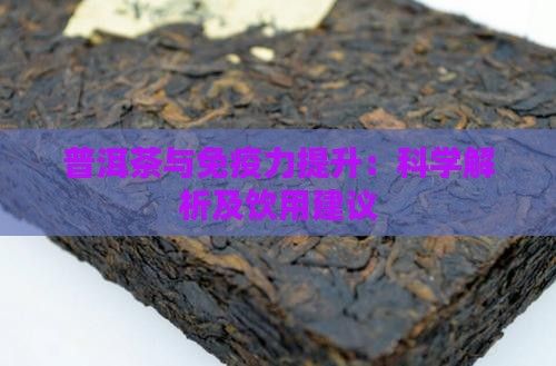 普洱茶與免疫力提升：科學(xué)解析及飲用建議
