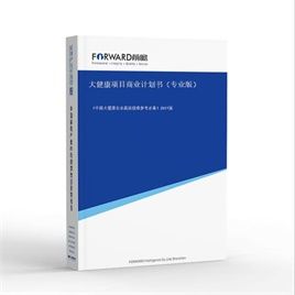 大健康項目商業(yè)計劃書（專業(yè)版）