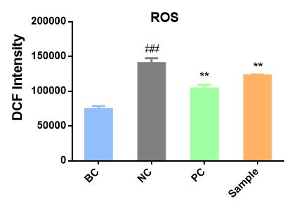 圖4 ROS含量檢測結(jié)果（博溪生物）