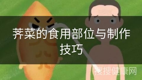 薺菜的食用部位與制作技巧
