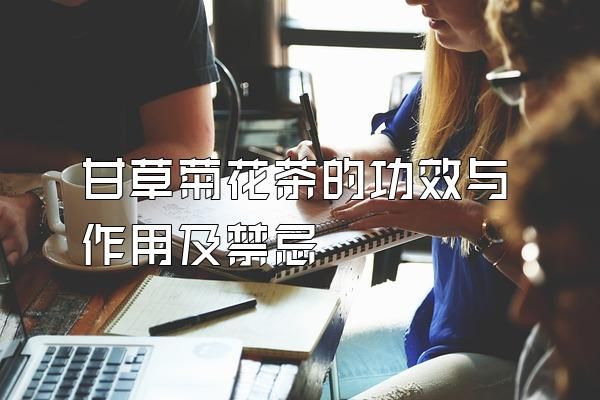 甘草菊花茶的功效與作用及禁忌