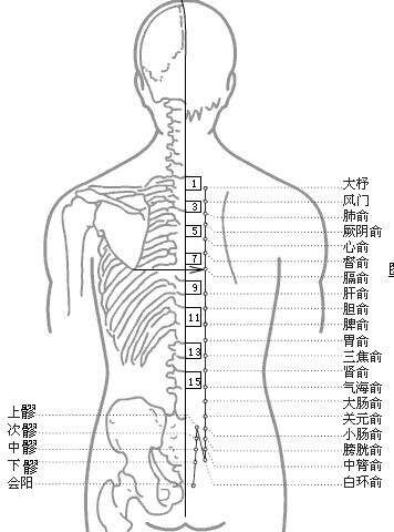 少林禅医：拔罐减肥技术的分析与研究