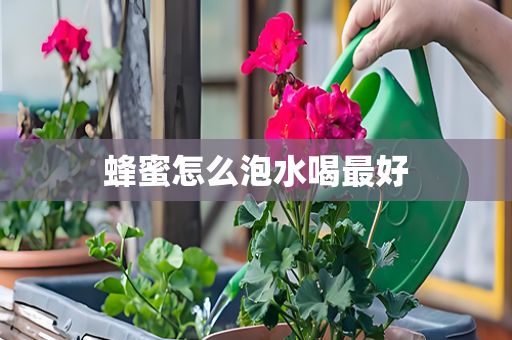 蜂蜜怎么泡水喝最好