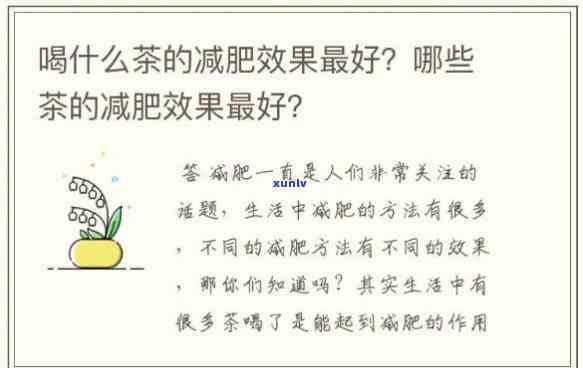 喝哪種茶減肥效果好一點(diǎn)，揭秘：哪種茶飲有助于減肥，效果更明顯？