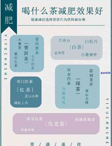 喝哪種茶減肥效果好一點(diǎn)，揭秘：哪種茶飲有助于減肥，效果更明顯？