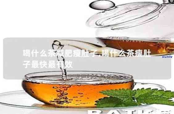 減肥茶減肚子脂肪哪種最有效？全面比較評測！