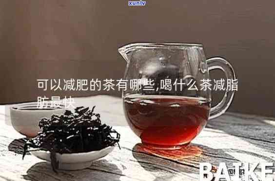 減肥茶減肚子脂肪哪種最有效？全面比較評測！