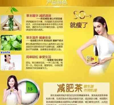 減肥茶減肚子脂肪哪種最有效？全面比較評測！